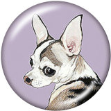 20MM  Dog  BUS  Halloween  Print  glass  snaps buttons