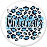 20MM  wildcats  eagles   Print  glass  snaps  buttons