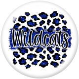 20MM  wildcats  eagles   Print  glass  snaps  buttons