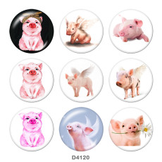 20MM pig  Print glass snaps buttons