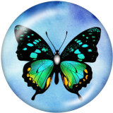 Painted metal 20mm snap buttons  Hummingbird  Butterfly