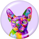 Painted metal 20mm snap buttons  Dog  Cat