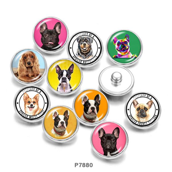 Painted metal 20mm snap buttons  Dog