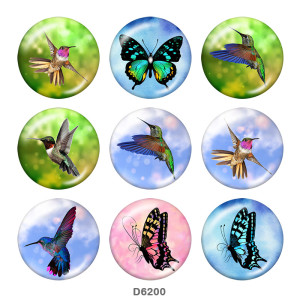 Painted metal 20mm snap buttons  Hummingbird  Butterfly