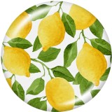 Painted metal 20mm snap buttons Beach  lemon  cactus