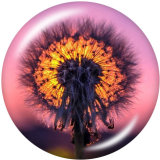 Painted metal 20mm snap buttons  Dandelion
