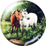 Painted metal 20mm snap buttons  Mama Bear  Cat  Horse