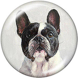 Painted metal 20mm snap buttons Dog  pineapple
