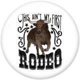 Painted metal 20mm snap buttons  words   rodeo