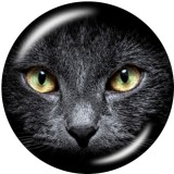Painted metal 20mm snap buttons  Cat