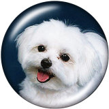 Painted metal 20mm snap buttons  Dog  princess  Mama
