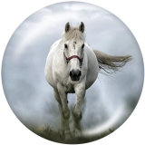 Painted metal 20mm snap buttons  Horse