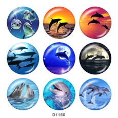 20MM marine organism Beach Ocean  Print glass snaps buttons