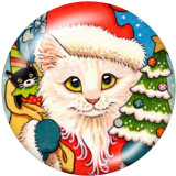 20MM  Christmas  Cat   Print glass  snaps  buttons