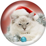 20MM  Christmas  Cat   Print glass  snaps  buttons