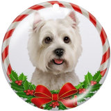 20MM  Christmas  Dog  Print glass  snaps  buttons