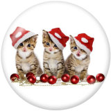 20MM  Christmas  Cat   Print glass  snaps  buttons