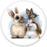 20MM  Halloween  Cat   rabbit   Print   glass  snaps buttons