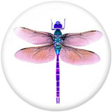 20MM  Dragonfly  Butterfly  Love  Print   glass  snaps buttons