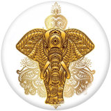 20MM  Meditation yoga Faith  Elephant  Print   glass  snaps buttons