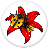 Painted metal 20mm snap buttons  Dragonfly   Flower  Deer  DIY jewelry