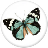 Painted metal 20mm snap buttons  Dragonfly  Butterfly  Love  DIY jewelry