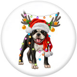20MM Love Dog Christmas Print  glass  snaps buttons