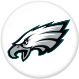 NEW  National Football League NFL  Team Logos  20MM glass snap button