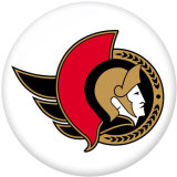 NEW  National Hockey League NHL  Team Logos  20MM glass snap button