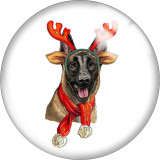 20MM Christmas Dog Print  glass snaps buttons