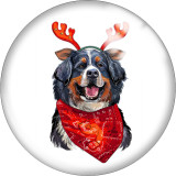 20MM Christmas Dog Print  glass snaps buttons