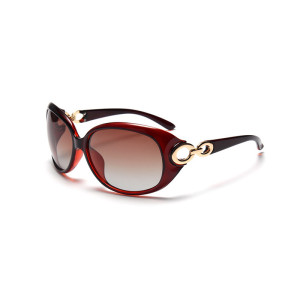 Sunglasses Ladies Trend Polarized Large Frame Glasses Fashion Elegant Sunglasses