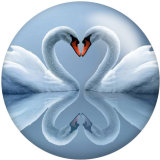 20MM White Swan love glass snaps buttons