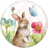 20MM rabbit Cat Unicorn glass snaps buttons