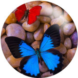 20MM MOM Butterfly Ribbon glass snaps buttons