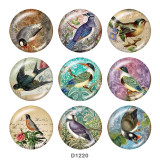 Painted metal 20mm snap buttons  bird Print