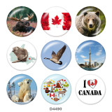 Painted metal 20mm snap buttons  Canada Print