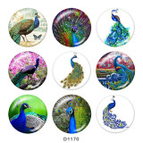 Painted metal 20mm snap buttons  peacock Print