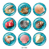 20MM shell Print glass snaps buttons  Beach Ocean