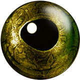 20MM  Eyes Cat Eye Eyeball Print  glass snaps buttons