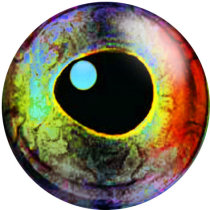 20MM  Eyes Cat Eye Eyeball Print  glass snaps buttons