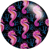 20MM  hippocampus beach Print  glass snaps buttons DIY Jewelry