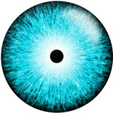 20MM  Eyes Cat Eye Eyeball Print  glass snaps buttons DIY Jewelry