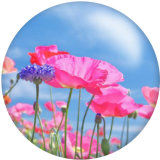 20MM Flower shell Print glass snaps buttons