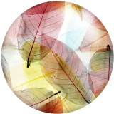 20MM Transparent leaf  Print glass snaps buttons