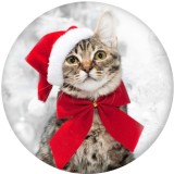 20MM Christmas Kitten and puppy Print glass snaps buttons  DIY jewelry