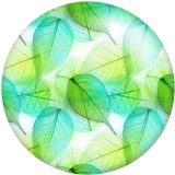 20MM Transparent leaf  Print glass snaps buttons