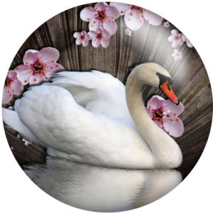 Painted metal 20mm snap buttons White Swan love