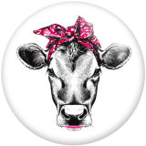 Painted metal 20mm snap buttons pattern cows  Print