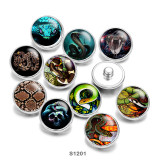 Painted metal 20mm snap buttons pattern snake Print    Jewelry Making